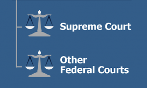 Supreme Court Other Federal Courts 8 15 2019