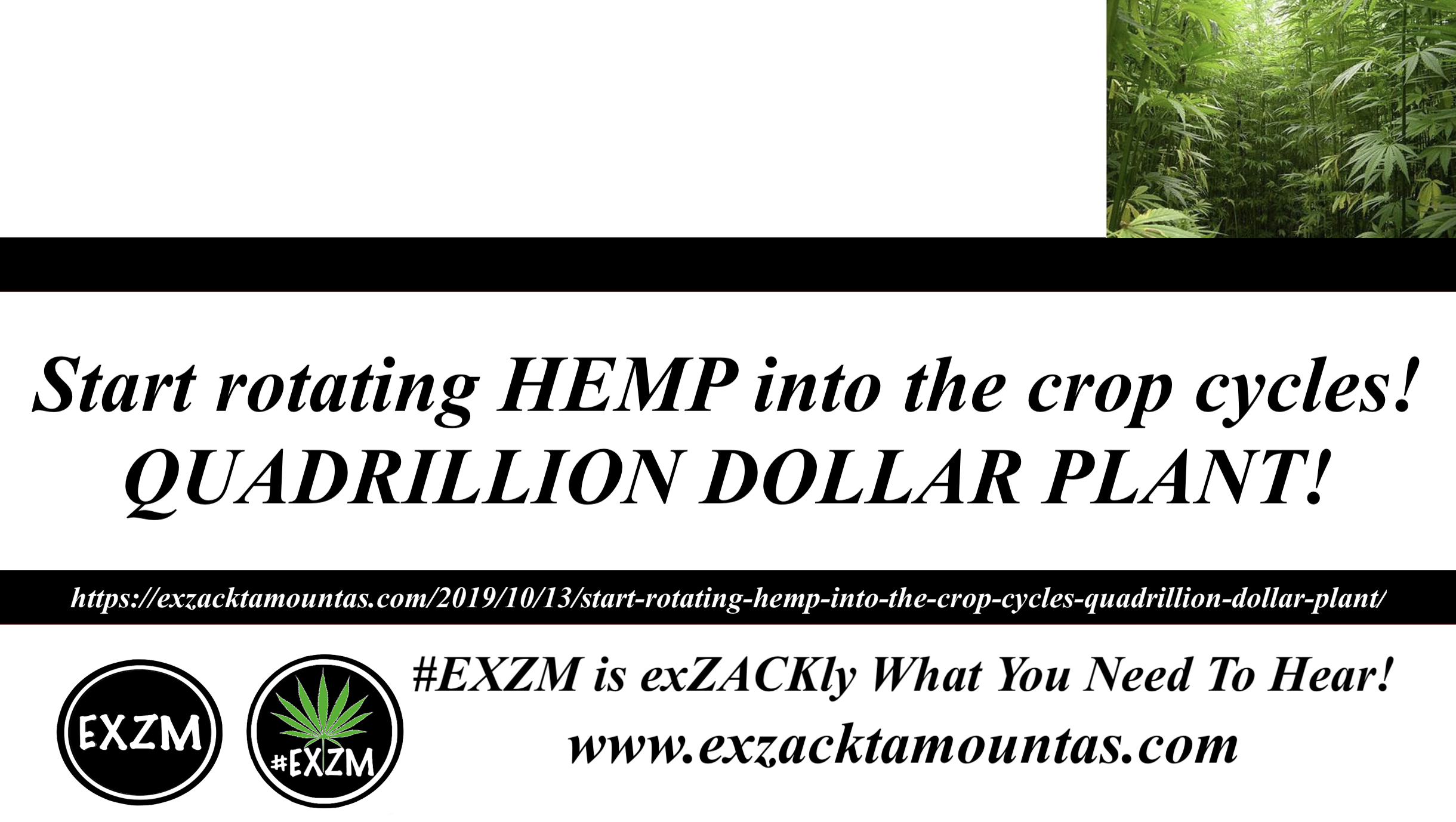 Start rotating HEMP into the crop cycles! QUADRILLION DOLLAR PLANT!