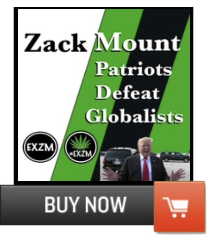 Official Patriots Defeat Globalists Album Cover Widget 5 30 2020