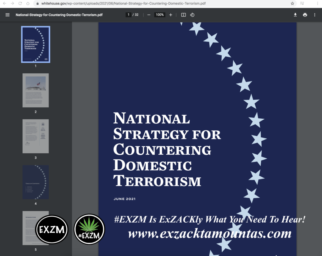 National Strategy for Countering Domestic Terrorism EXZM Zack Mount June 15th 2021 copy