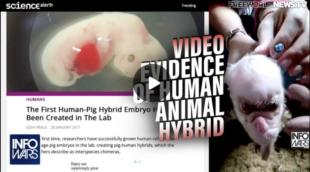 See the Video Evidence of Human Animal Hybrid Chimeras EXZM Zack Mount October 7th 2021