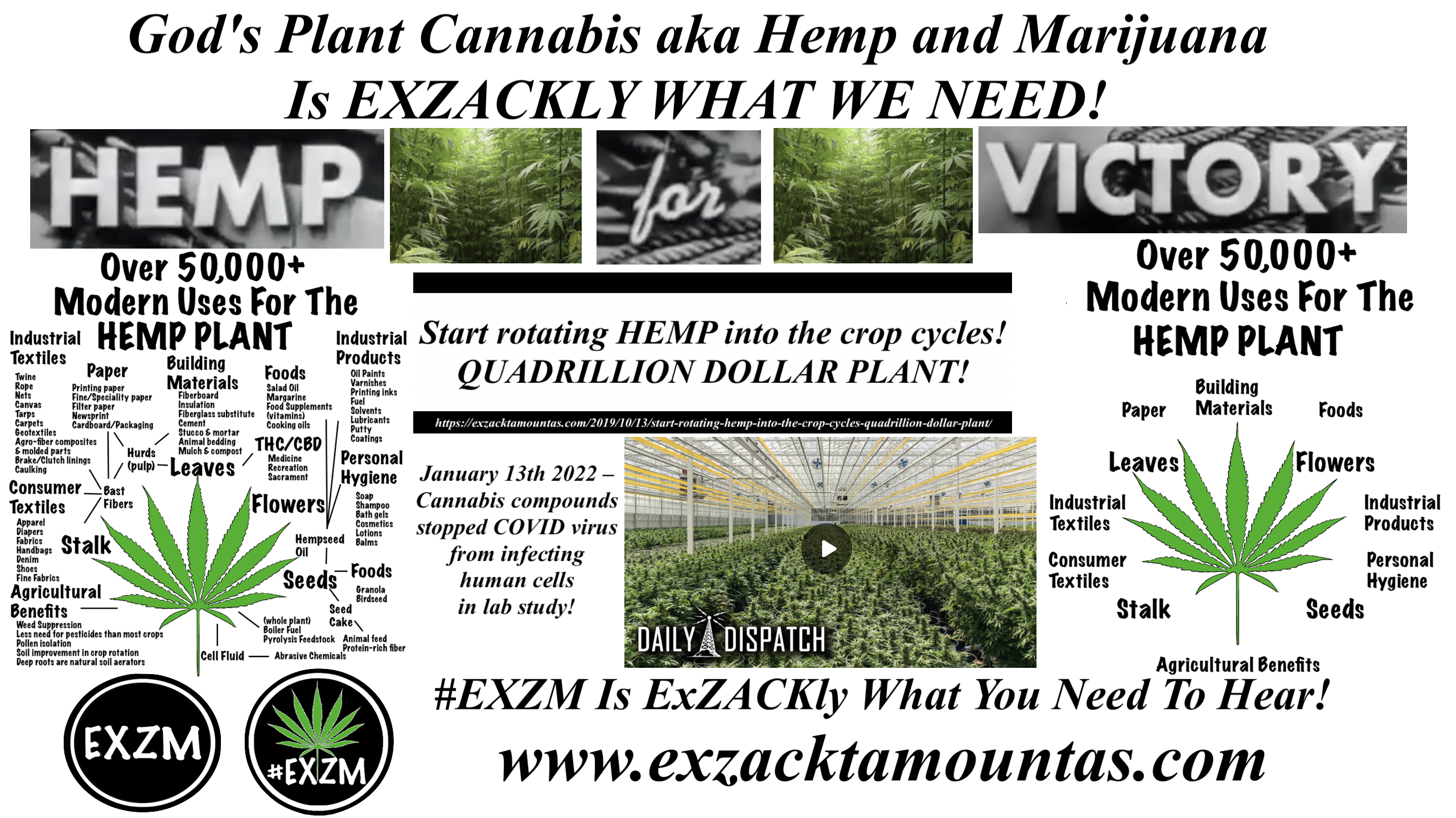 God's Plant Cannabis aka Hemp and Marijuana Is EXZACKLY WHAT WE NEED EXZM Zack Mount January 19th 2022 copy