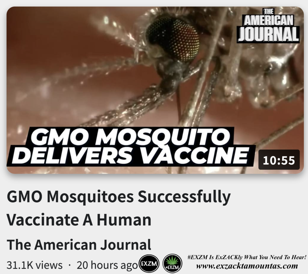 GMO Mosquitoes Successfully Vaccinate A Human American Journel Alex Jones Infowars EXZM exZACKtaMOUNTas Zack Mount September 28th 2022