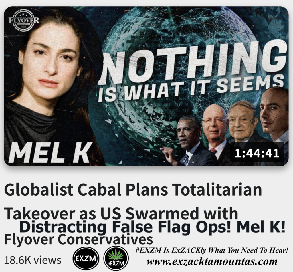 Globalist Cabal Plans Totalitarian Takeover as US Swarmed with Distracting False Flag Ops Mel K Alex Jones Infowars The Great Reset EXZM exZACKtaMOUNTas Zack Mount November 27th 2022