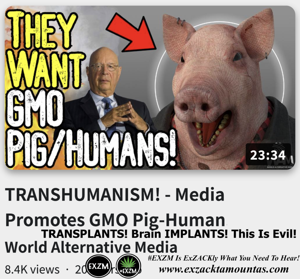 TRANSHUMANISM Media Promotes GMO Pig Human TRANSPLANTS Brain IMPLANTS This Is Evil Alex Jones Infowars The Great Reset EXZM exZACKtaMOUNTas Zack Mount November 4th 2022