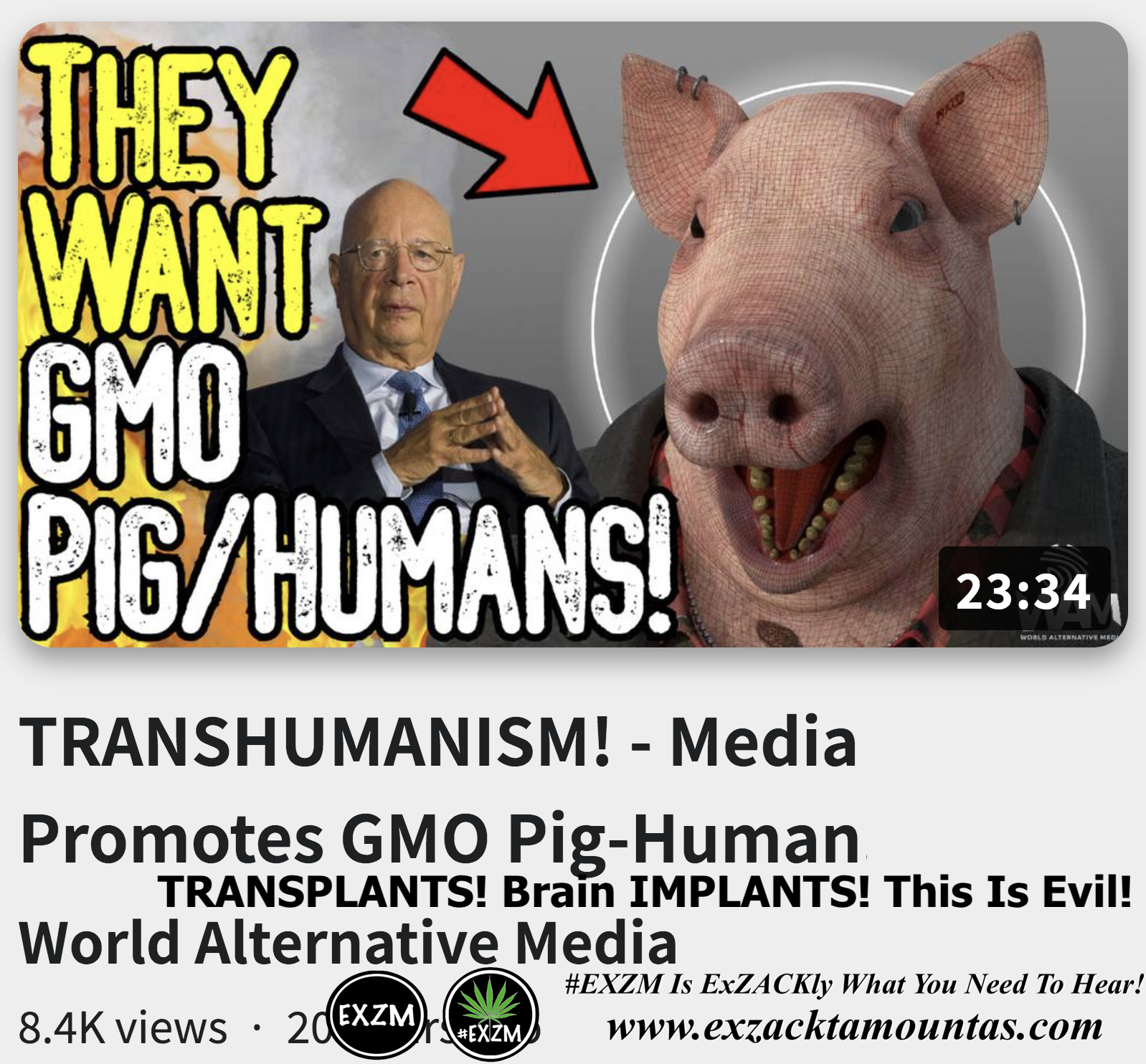 TRANSHUMANISM-Media-Promotes-GMO-Pig-Hum