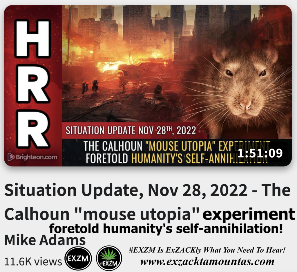 The Calhoun mouse utopia experiment foretold humanity s self annihilation Alex Jones Infowars The Great Reset EXZM exZACKtaMOUNTas Zack Mount November 28th 2022