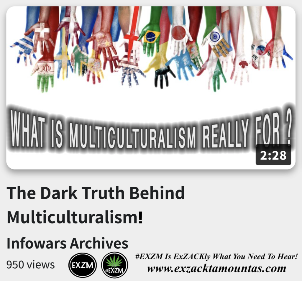 The Dark Truth Behind Multiculturalism Alex Jones Infowars The Great Reset EXZM exZACKtaMOUNTas Zack Mount November 29th 2022