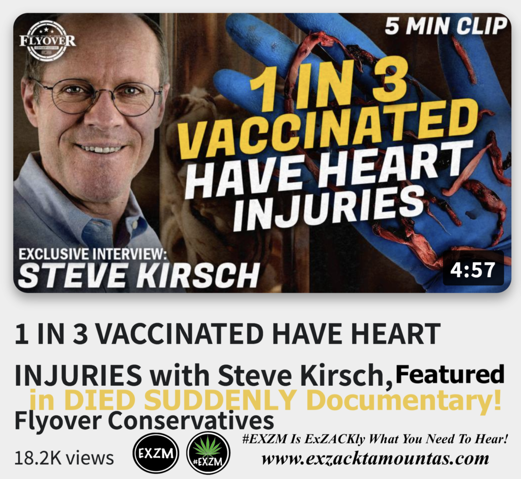 1 IN 3 VACCINATED HAVE HEART INJURIES with Steve Kirsch Featured in DIED SUDDENLY Documentary Flyover Clips Alex Jones Infowars The Great Reset EXZM exZACKtaMOUNTas Zack Mount December 10th 2022
