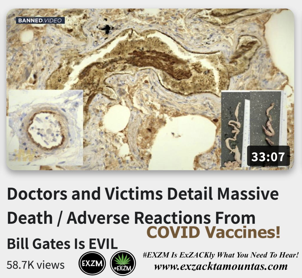 Doctors and Victims Detail Massive Death Adverse Reactions From COVID Vaccines Alex Jones Infowars The Great Reset EXZM exZACKtaMOUNTas Zack Mount December 9th 2022
