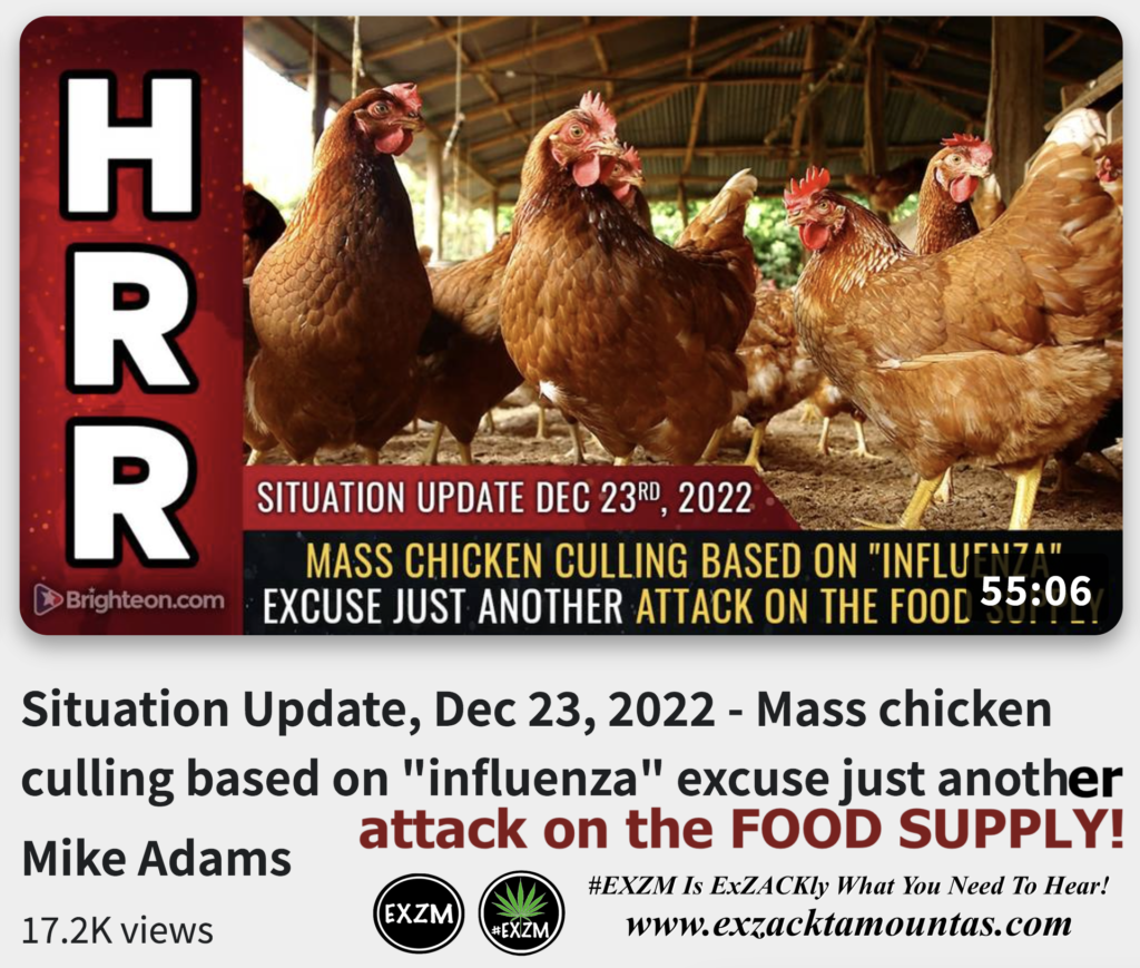 Mass chicken culling based on influenza excuse just another attack on the FOOD SUPPLY Alex Jones Infowars The Great Reset EXZM exZACKtaMOUNTas Zack Mount December 23rd 2022